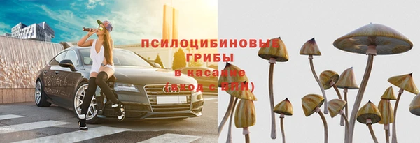 стафф Медвежьегорск