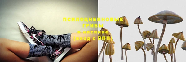 трава Медногорск