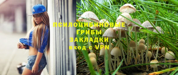 стафф Медвежьегорск
