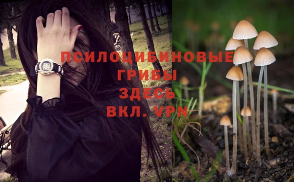 метадон Мегион