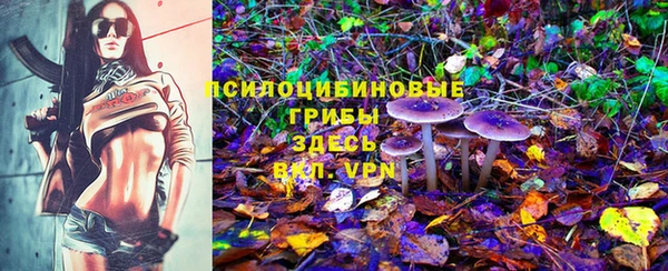 стафф Медвежьегорск
